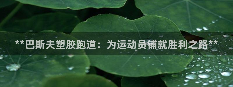 尊龙凯时的最新消息：**巴斯夫塑胶跑道：为运动员铺就胜利之路**