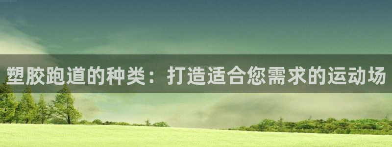 尊龙新版app首页：塑胶跑道的种类：打造适合您需求的运动场