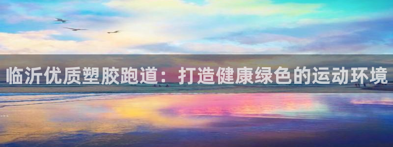 z6尊龙凯时：临沂优质塑胶跑道：打造健康绿色的运动环境