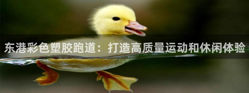 尊龙凯时代理佣金发不发：东港彩色塑胶跑道：打造高质量