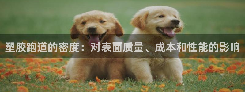 尊龙得过奥斯卡吗：塑胶跑道的密度：对表面质量、成本和