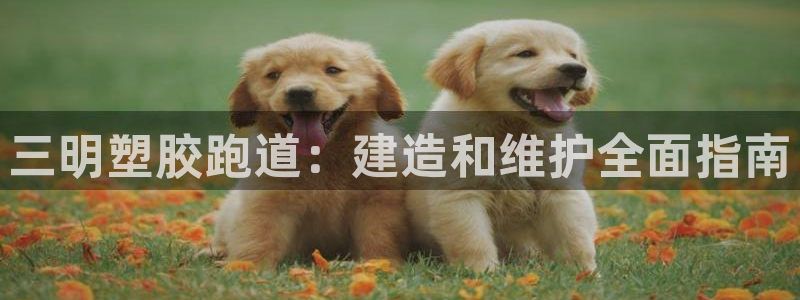 尊龙凯时和九游会哪个平台好一点：三明塑胶跑道：建造和维护全面指南