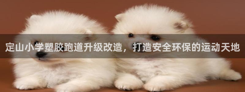 尊龙专访视频：定山小学塑胶跑道升级改造，打造安全环保的运动天地