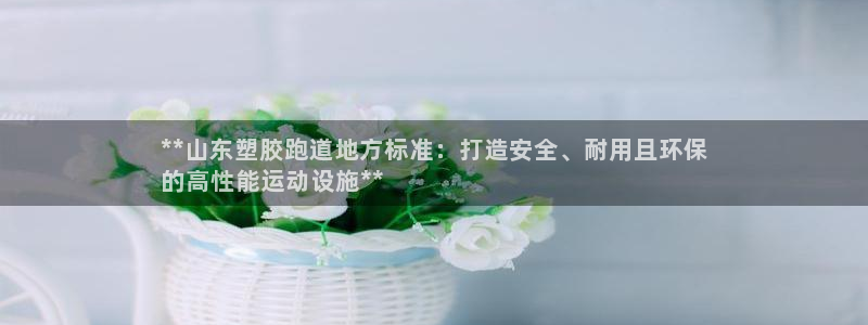 尊龙凯时不给提款：**山东塑胶跑道地方标准：打造安全、耐用且环保
的高性能运动设施**