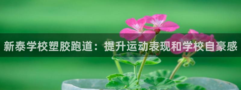尊龙网页：新泰学校塑胶跑道：提升运动表现和学校自豪感