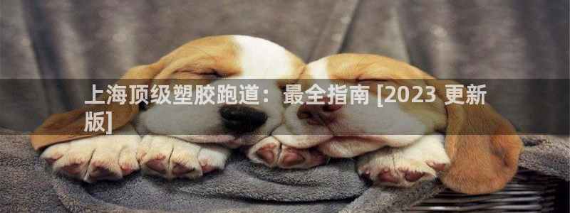 尊龙d88官网登录：上海顶级塑胶跑道：最全指南 [2023 更新
版]