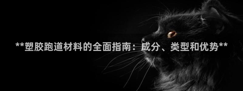 d88尊龙凯时：**塑胶跑道材料的全面指南：成分、类型和优势**