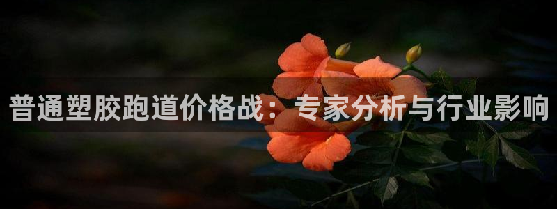 尊龙凯时品牌介绍：普通塑胶跑道价格战：专家分析与行业影响