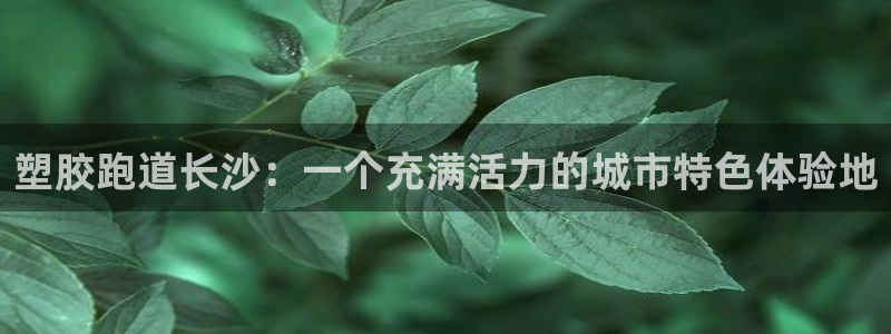 KB88凯时官网登录