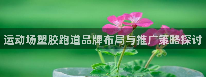 尊龙凯时充值不到账