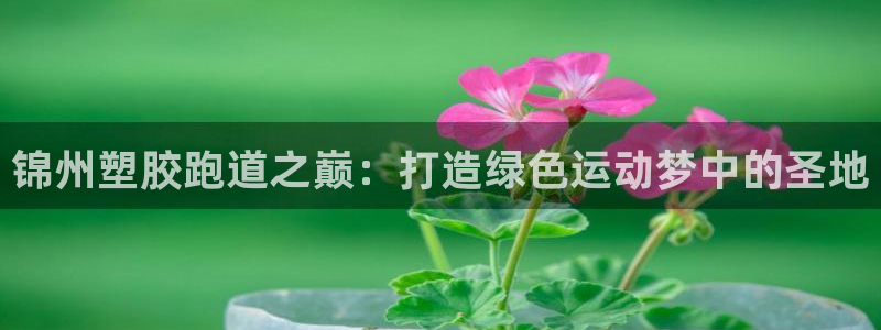 d88尊龙手机登录下载