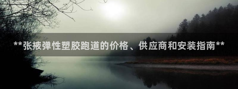 尊龙z6集团：**张掖弹性塑胶跑道的价格、供应商和安装指南*