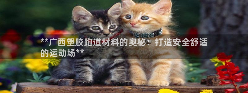尊龙凯时不给提现怎么办：**广西塑胶跑道材料的奥秘：打造安全