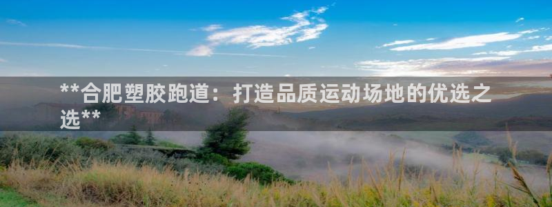 尊龙凯时可以提现吗：**合肥塑胶跑道：打造品质运动场地的优选之
选**