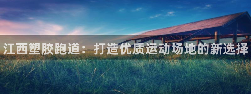 尊龙最新版：江西塑胶跑道：打造优质运动场地的新选择