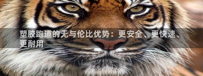 尊龙人生就是-首页：塑胶跑道的无与伦比优势：更安全、更快速、
更耐用