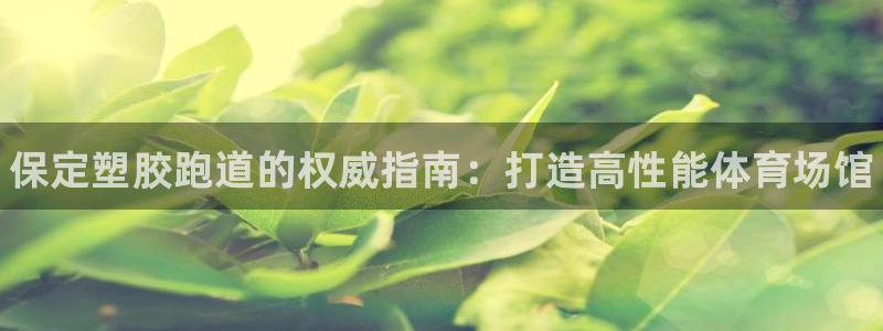 尊龙凯时登录：保定塑胶跑道的权威指南：打造高性能体育场馆
