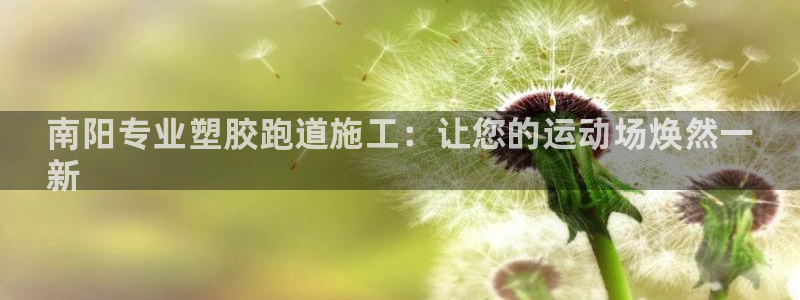 尊龙凯时充值不到账：南阳专业塑胶跑道施工：让您的运动