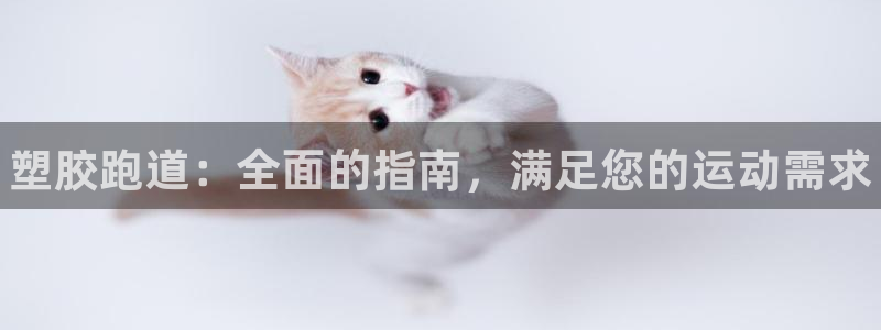 尊龙人生就是博送38：塑胶跑道：全面的指南，满足您的运动需求