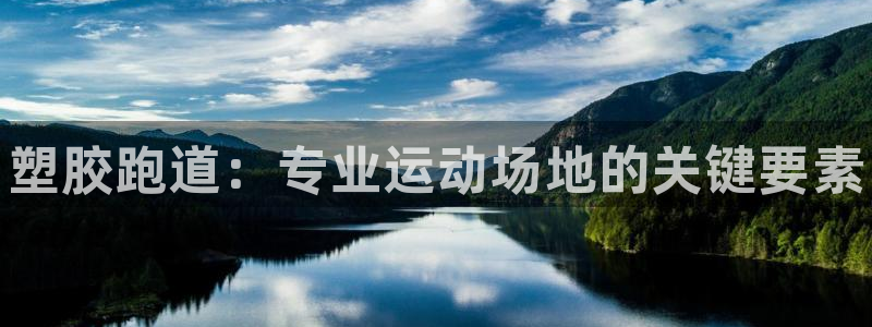 尊龙人生就是博旧版现：塑胶跑道：专业运动场地的关键要素