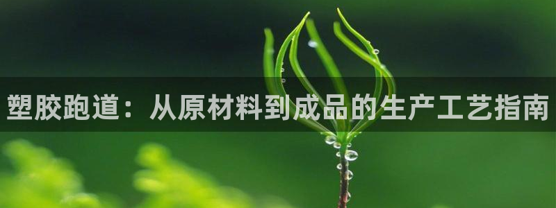 尊龙凯时投诉最狠的方法：塑胶跑道：从原材料到成品的生