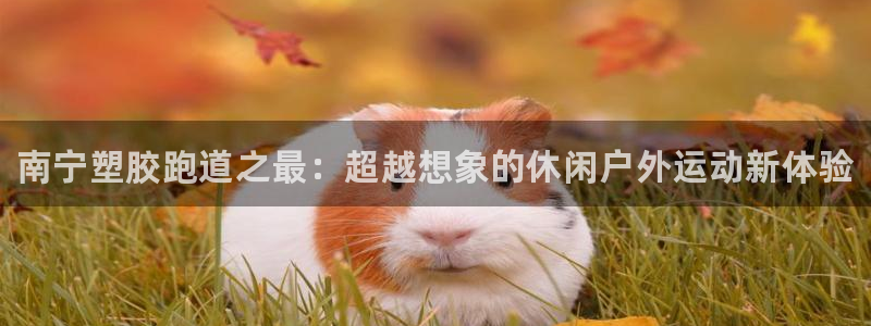 尊龙凯时注册：南宁塑胶跑道之最：超越想象的休闲户外运动新体验