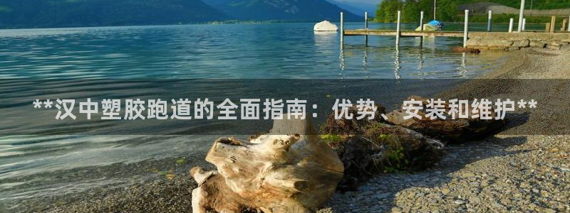 尊龙凯时百家乐手机下载：**汉中塑胶跑道的全面指南：