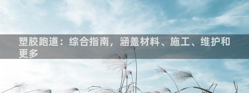 尊龙人生就是博下载：塑胶跑道：综合指南，涵盖材料、施