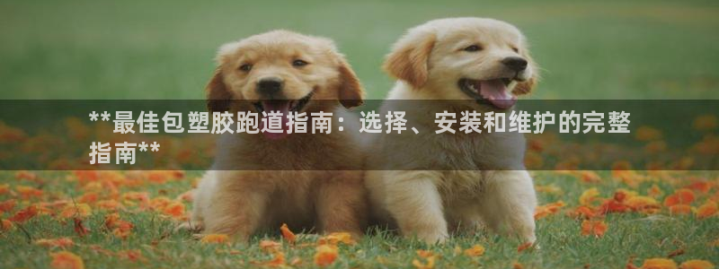 尊龙凯时取款24小时不到账