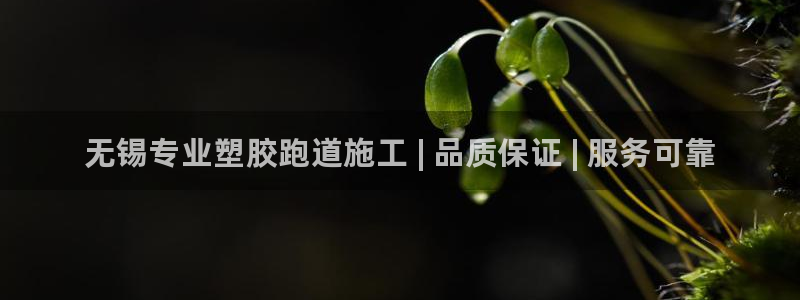 凯时旗舰厅App下载：无锡专业塑胶跑道施工 | 品质保证 |