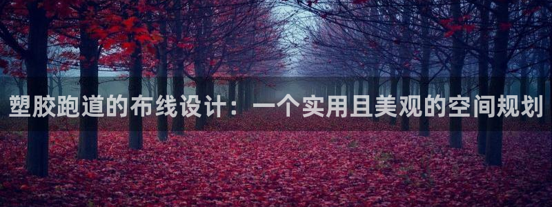 尊龙人生就是博电脑版：塑胶跑道的布线设计：一个实用且美观的空