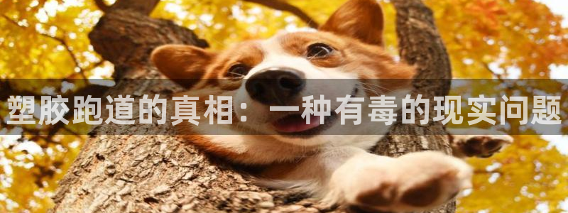 尊龙百度贴吧：塑胶跑道的真相：一种有毒的现实问题