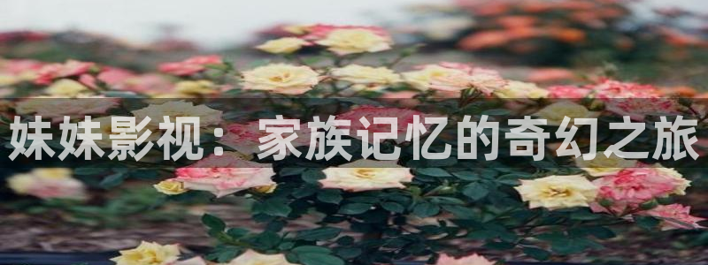 山外人精品影院