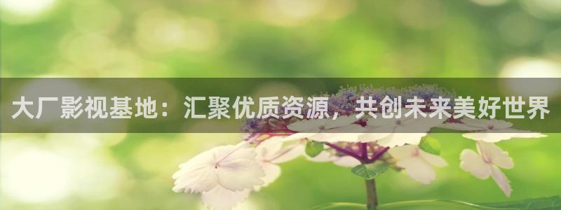 山外人精品影院在线观看