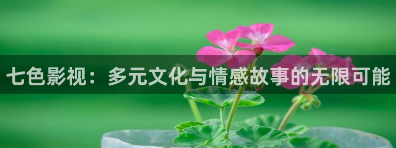 山外人精品影院在线观看