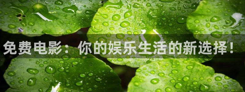 山外人精品影院 6 在线观看