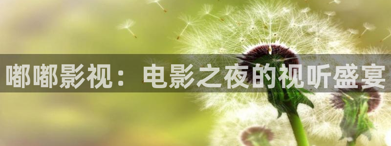 山外人精品影院 6 在线观看