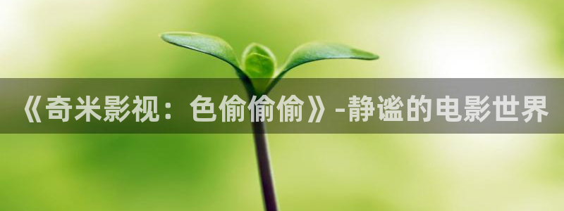 山外人精品影院 6 在线观看