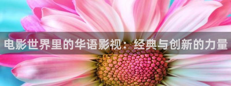 山外人精品影院洋洋av